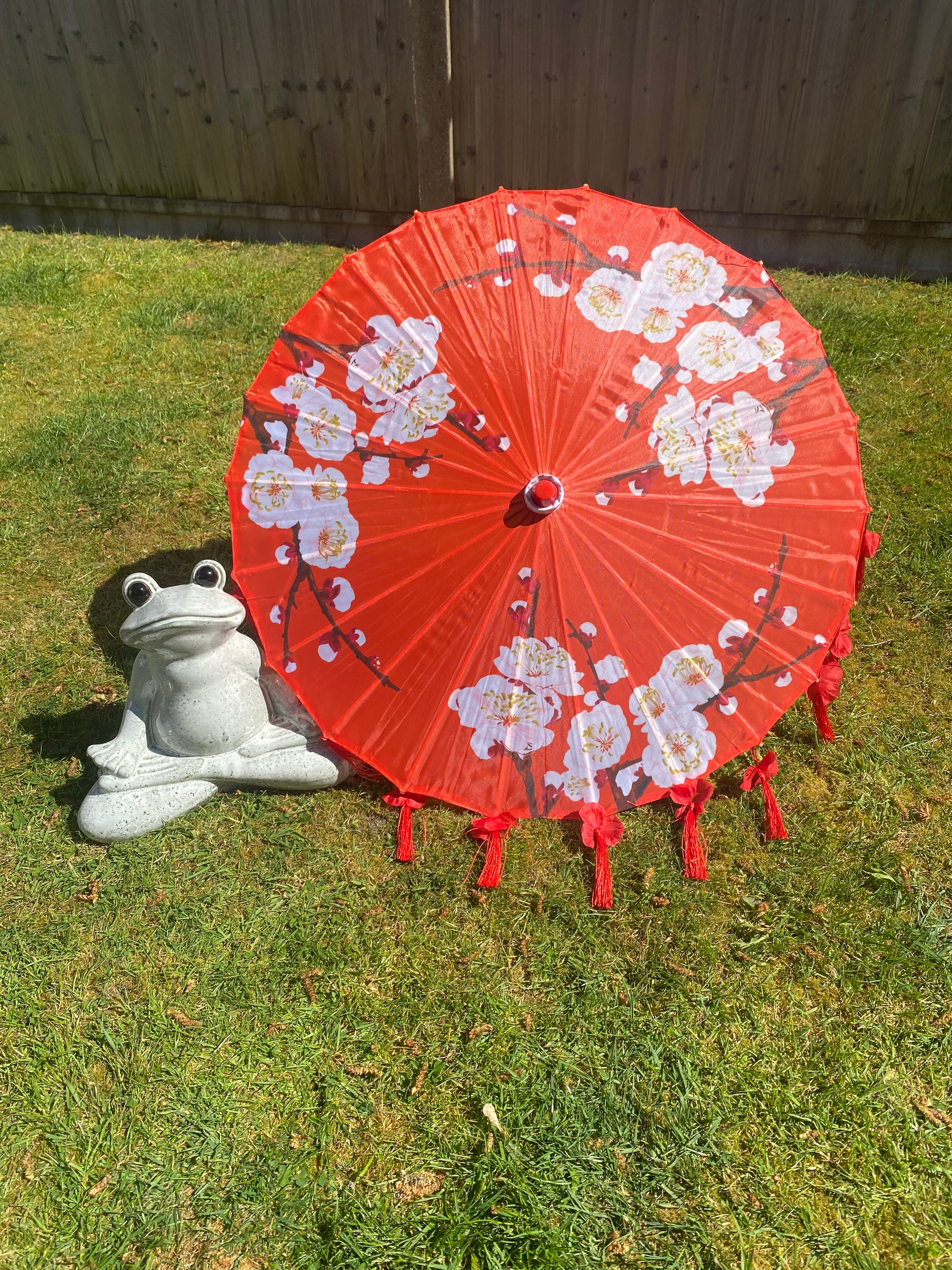 Asian Style Parasol
